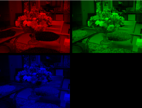 Flowers Color Addition