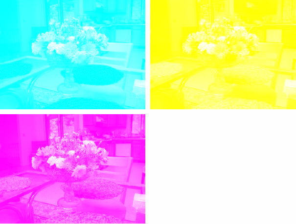 Flowers Color Subtraction