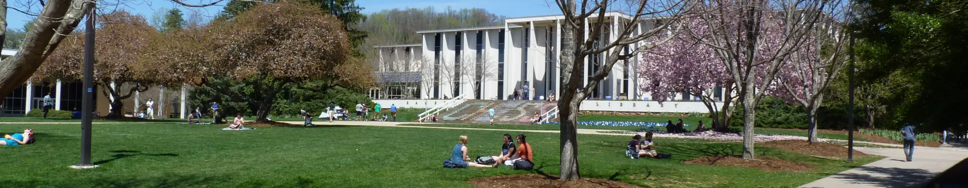 College Quad and Library